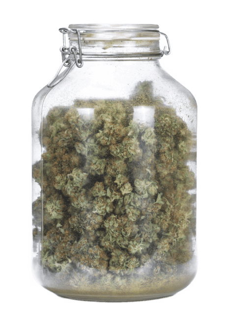 Buy Weed Online
