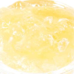 Headband Strain Caviar - Indica Dominant Hybrid Headband Strain Caviar - Indica Dominant Hybrid