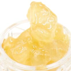 Key Lime Pie Strain Caviar - Indica Dominant Hybrid Key Lime Pie Strain Caviar - Indica Dominant Hybrid