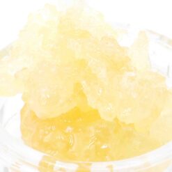 King's Banner Strain - Caviar - Indica Dominant Hybrid King's Banner Strain - Caviar - Indica Dominant Hybrid