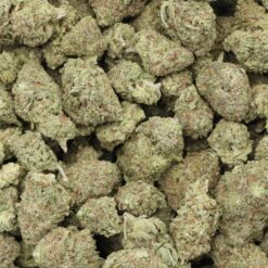 Spritzer Strain Flower - Hybrid