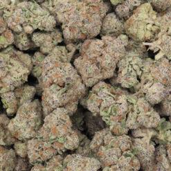 Spritzer Strain Flower - Hybrid