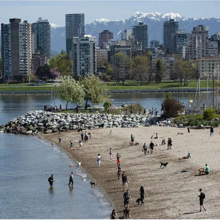 Buy Weed Online In Vancouver