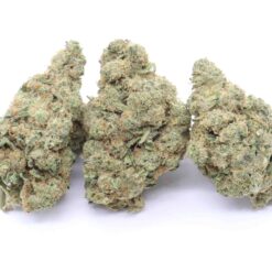 Cherry Gas Strain Flower - Indica Dominant Hybrid Cherry Gas Strain Flower - Indica Dominant Hybrid