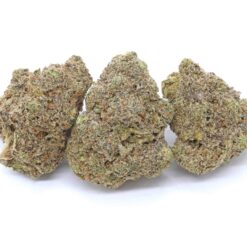 Galactic Gas Strain Flower - Indica Dominant Hybrid Galactic Gas Strain Flower - Indica Dominant Hybrid