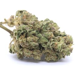 Mango Sapphire Strain Flower - Indica Dominant Hybrid