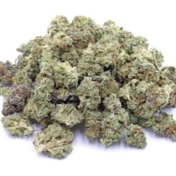 Mango Sapphire Strain Small Buds - Indica Dominant Hybrid