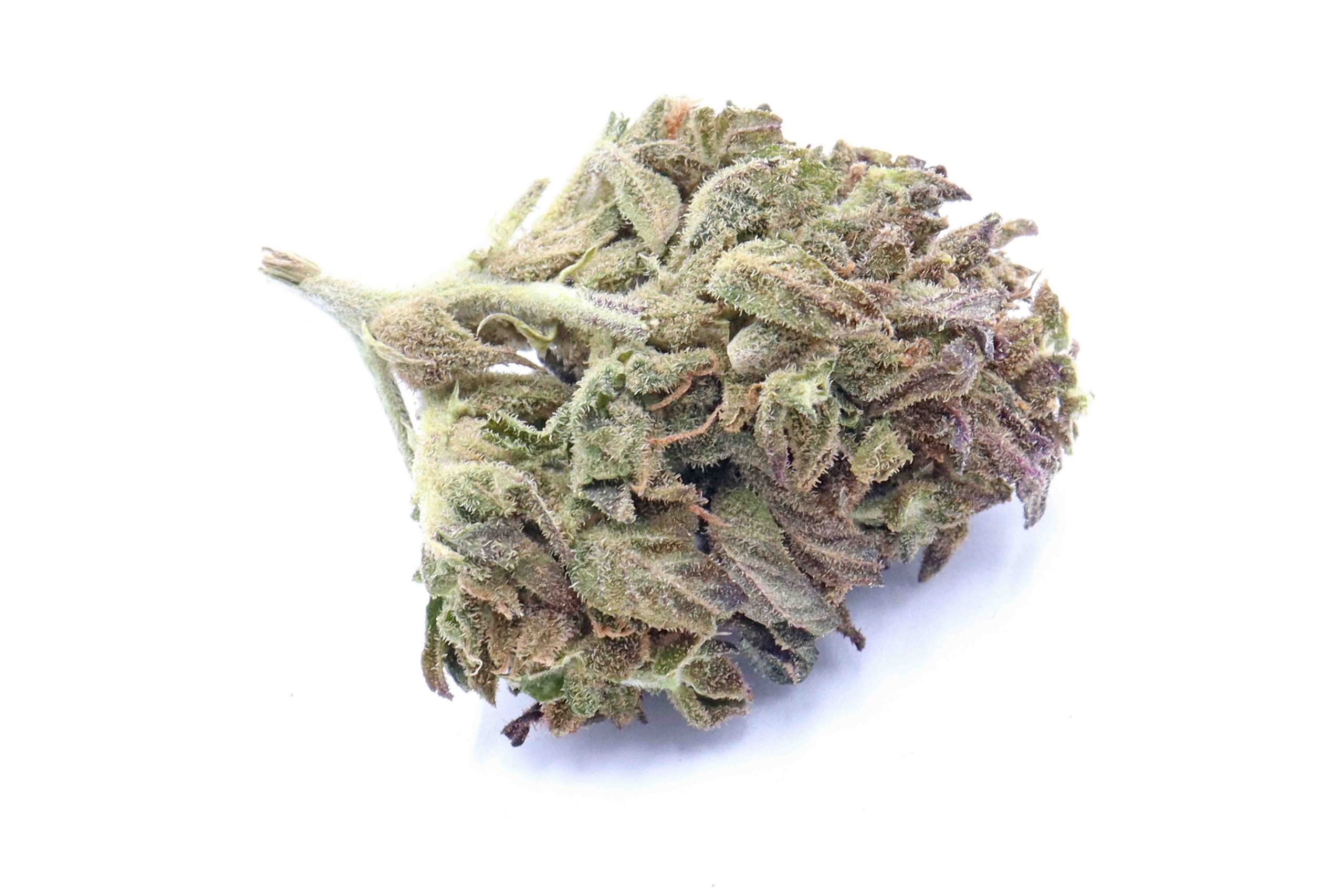 Purple Apricot Strain Small Buds - Indica Dominant Hybrid