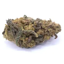 Purple Apricot Strain Small Buds - Indica Dominant Hybrid