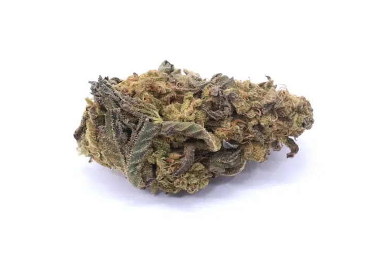 Purple Apricot Strain Small Buds - Indica Dominant Hybrid