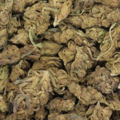 Purple Apricot Strain Small Buds - Indica Dominant Hybrid