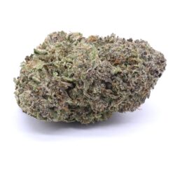 Violet Fog Strain Flower - Indica Dominant Hybrid Violet Fog Strain Flower - Indica Dominant Hybrid