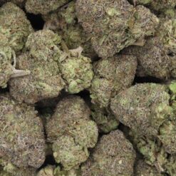 Violet Fog Strain Flower - Indica Dominant Hybrid Violet Fog Strain Flower - Indica Dominant Hybrid