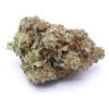 X Haze Strain Flower - Sativa Dominant Hybrid X Haze Strain Flower - Sativa Dominant Hybrid