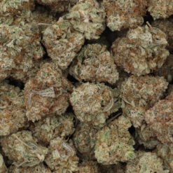 X Haze Strain Flower - Sativa Dominant Hybrid X Haze Strain Flower - Sativa Dominant Hybrid