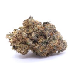 X Haze Strain Flower - Sativa Dominant Hybrid X Haze Strain Flower - Sativa Dominant Hybrid