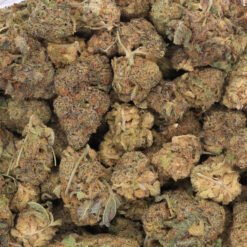 X Haze Strain Flower - Sativa Dominant Hybrid X Haze Strain Flower - Sativa Dominant Hybrid