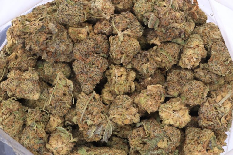 X Haze