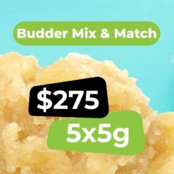 Budder Bundle - 25g Budder Bundle - 25g