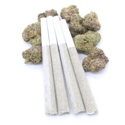 Oreo Cake Strain AAAA Pre-Rolls - Hybrid - 1 gram
