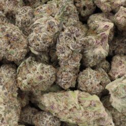 Alien Cookies Strain Flower - Hybrid