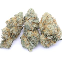 Banana Cookies Strain Flower - Indica Dominant Hybrid Banana Cookies Strain Flower - Indica Dominant Hybrid