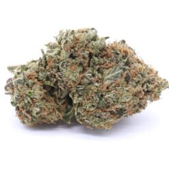 White Lightning Strain Flower - Hybrid White Lightning Strain Flower - Hybrid