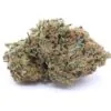 White Lightning Strain Flower - Hybrid