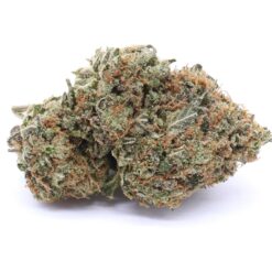 White Lightning Strain Flower - Hybrid