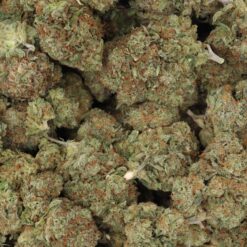 White Lightning Strain Flower - Hybrid