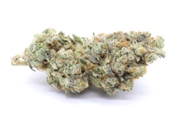 WiFi Strain Flower - Sativa Dominant Hybrid