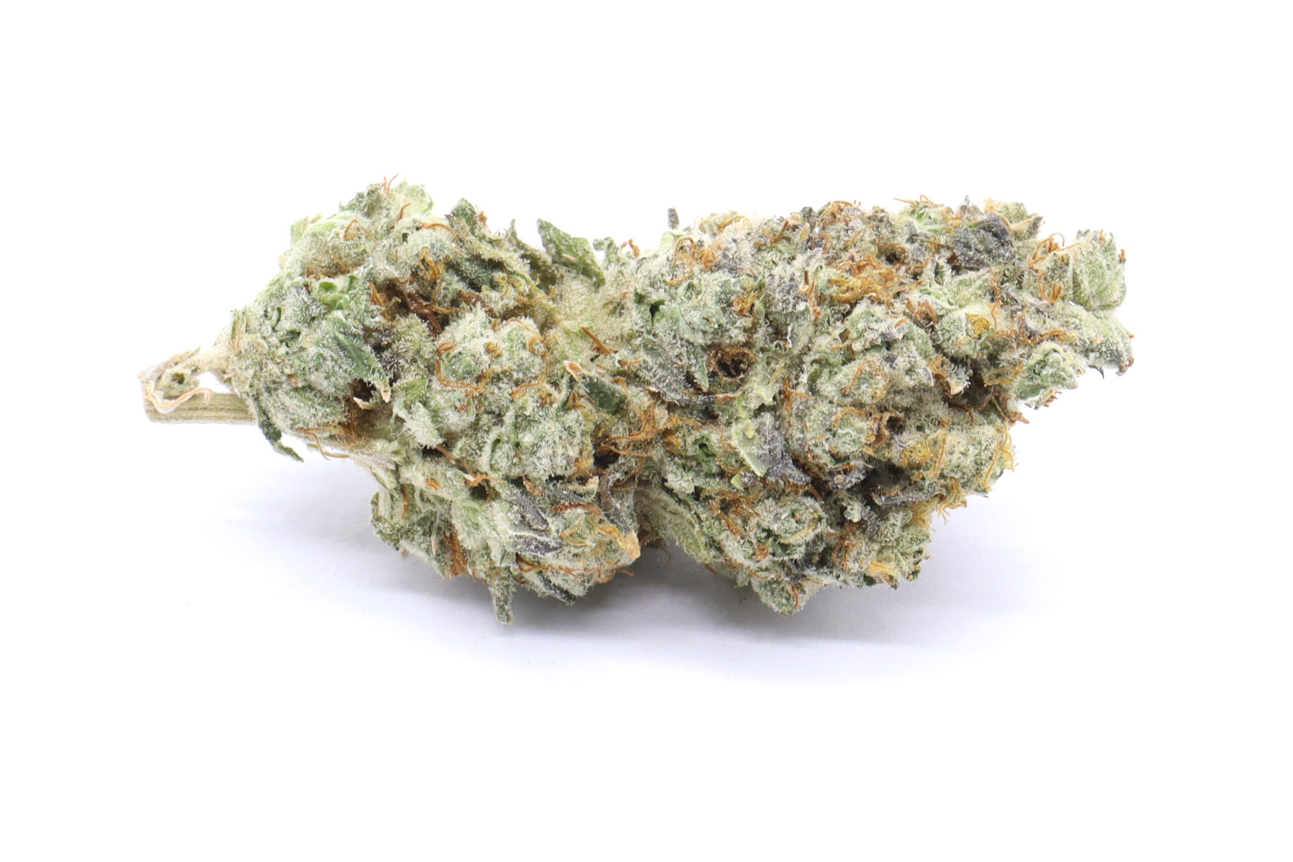 WiFi Strain Flower - Sativa Dominant Hybrid