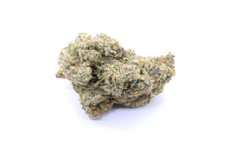 Biscotti Cake Strain Flower - Sativa Dominant Hybrid Biscotti Cake Strain Flower - Sativa Dominant Hybrid