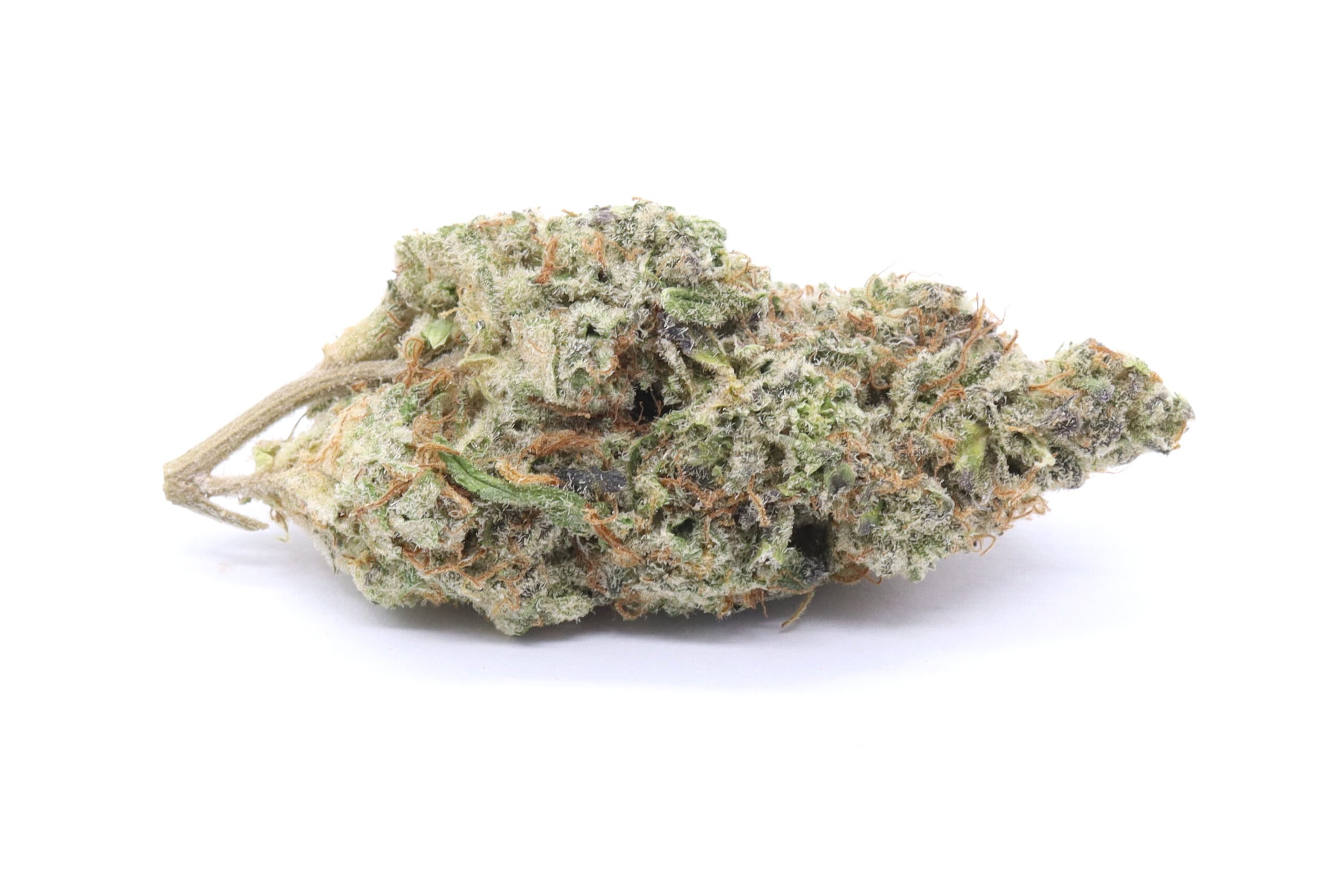 Biscotti Cake Strain Flower - Sativa Dominant Hybrid