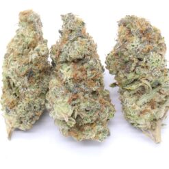 Biscotti Cake Strain Flower - Sativa Dominant Hybrid Biscotti Cake Strain Flower - Sativa Dominant Hybrid