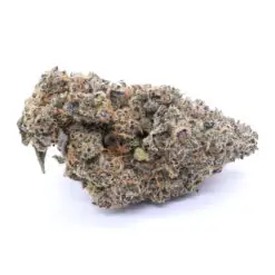 Blue Lobster Strain Flower - Indica Dominant Hybrid