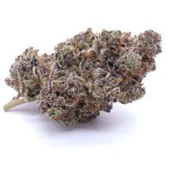 Blue Lobster Strain Flower - Indica Dominant Hybrid