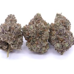 Blue Lobster Strain Flower - Indica Dominant Hybrid Blue Lobster Strain Flower - Indica Dominant Hybrid