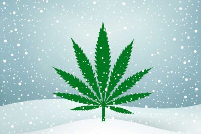 haute-health-cannabis-trichomes-and-snow