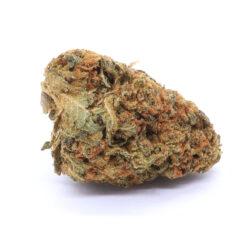 Orange Dream Strain Flower - Hybrid