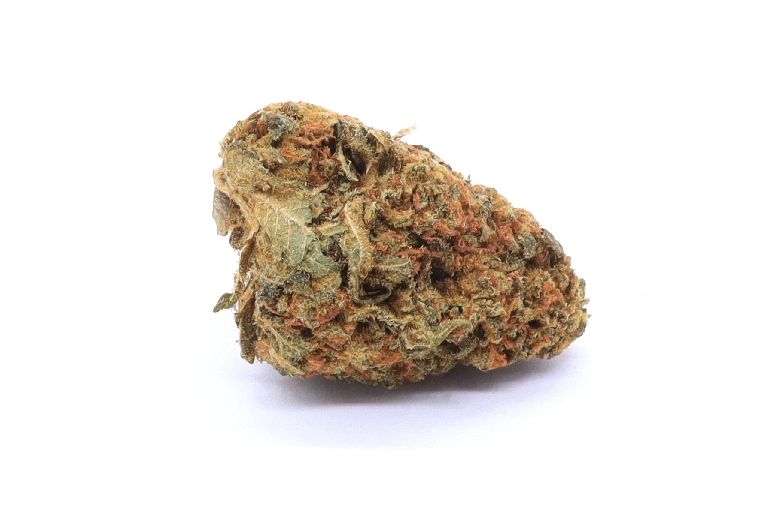 Orange Dream Strain Flower - Hybrid