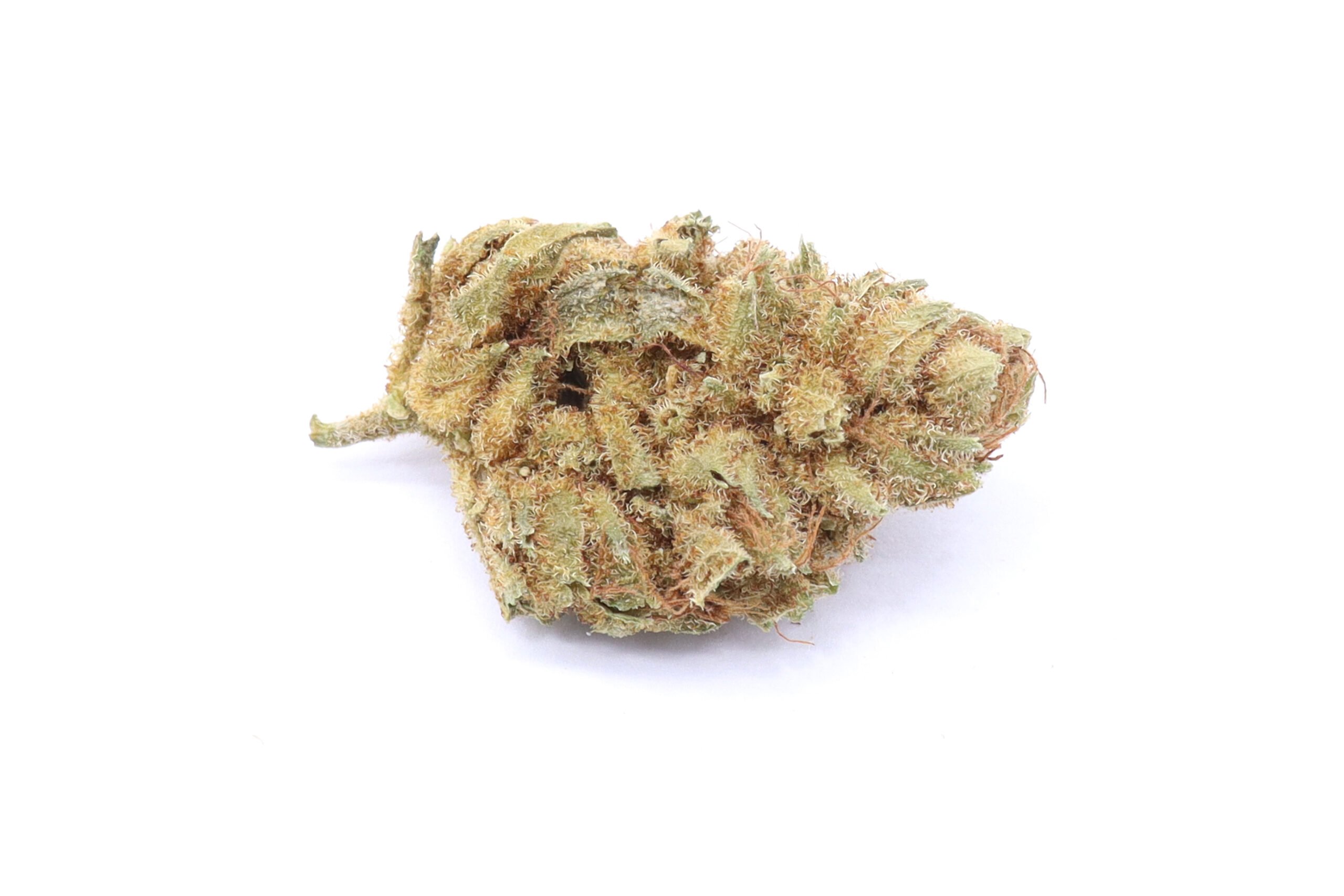 Orange Dream Strain Small Buds - Hybrid