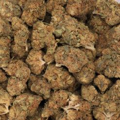 Orange Dream Strain Flower - Hybrid