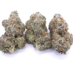 Pink Zkittlez Strain Flower - Hybrid Pink Zkittlez Strain Flower - Hybrid