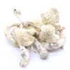 Albino Penis Envy (APE) Mushrooms