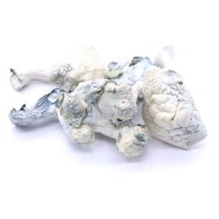Ape Mushrooms Ape Mushrooms