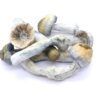 Blue Goba Freeze Dried Mushrooms