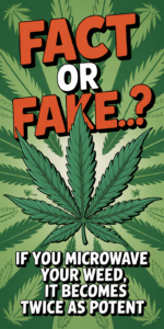 Fact or Fake Image