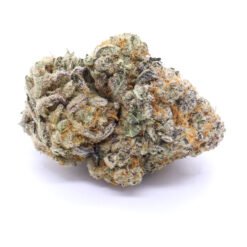 Purple Blizzard Strain Flower - Hybrid