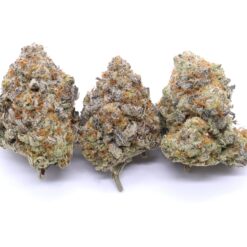 Purple Blizzard Strain Flower - Hybrid Purple Blizzard Strain Flower - Hybrid